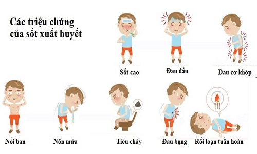 Không chủ quan trước dịch bệnh sốt xuất huyết (3/7/2021)